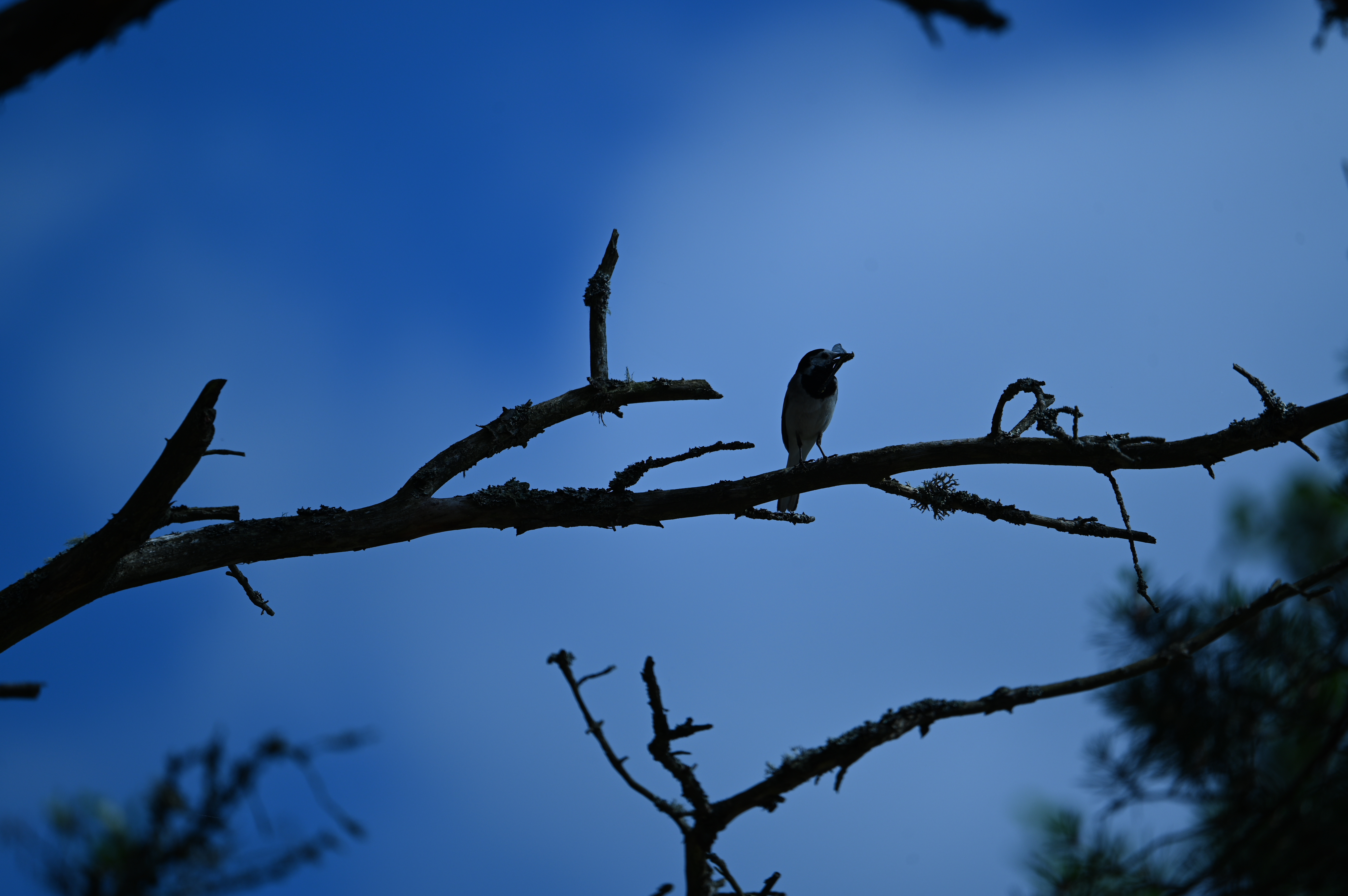 2025/07/09-14 - trip/DSC_0463.JPG